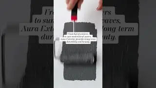 Get to Know Aura&reg; Exterior Paint