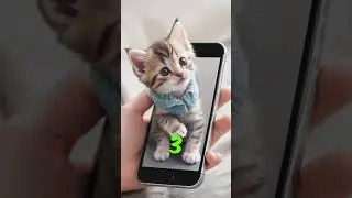 #cat #3d  #cute
