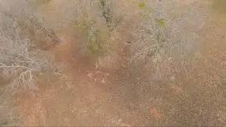 FPV Youtube Bitrate Test - 1080p 60 Constant Bitrate