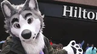 Confuzzled 24