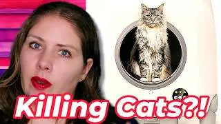 Опасные самоочищающиеся туалеты | Голос ветеринара
