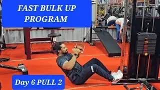 FAST BULK UP PROGRAM / 