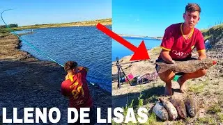 TERRIBLE pesca de LISAS en el Rio Salado 🎣 Como pescar lisas - Pesca rio salado