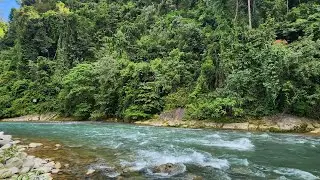 Bukit Lawang bersama bangkitkan Pariwisata Indonesia.