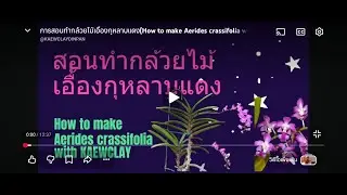 การสอนทำกล้วยไม้เอื้องกุหลาบแดง(How to make Aerides crassifolia with KAEWCLAY)
