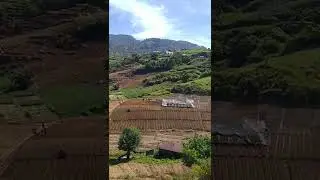 Igorot garden #short