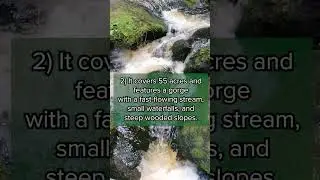 Wyming Brook Nature Reserve: Beautiful Walk In Sheffield