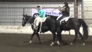 Madison MacDonald- Magic in Motion Trick Riding Missouri Clinic 2016