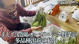 オーガニック需要取引に未来への希望を見る！ まじた農園のオーガニック野菜紹介！ いくら暑くても昼間に働く！ 1994年18歳からの屋外労働者である僕の耐熱仕様の体！ 2025/7/7