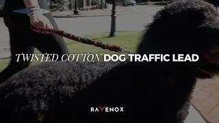 Ravenox Traffic Leash for Dogs |  Twisted Cotton Rope | Short Dog Leash with Traffic Handle #Shorts