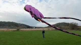 The Only Way to Fly a Trilobite 16 sqm