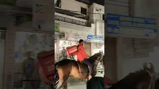 Zomato delivery partner in Hyderabad is delivering food by riding a horse due to fuel issues 100