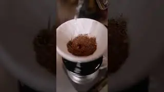 Coffee Tasting in Bali