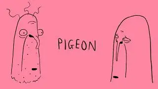 Kyle and Davey - pigeon