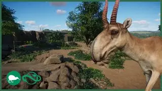 saiga habitat | willow creek city zoo | Ep. 14 | speed build | planet zoo