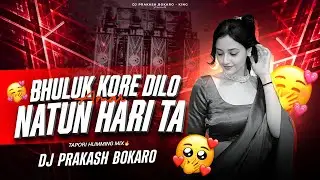 Bhuluk Kore Dilo Amar Nutun Hari Ta [ Tapori Humming Mix ] Dj Prakash Bokaro