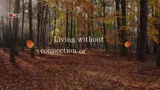 Not living, just existing.   #youtubeshorts #quotes #english #barelyliving  #existing #fall #autumn