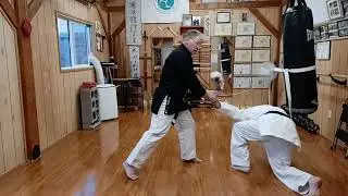 Seidokan Saturday 211, 1st kyu Brown belt - more tuidi/toide