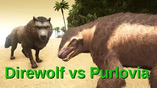 Direwolf vs Purlovia || ARK: Survival Evolved