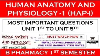 human anatomy and physiology b pharmacy 1st year important questions || Carewell Pharma