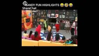 Sandy funny moments