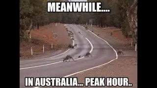 THE AUSSIE TRYHARDS
