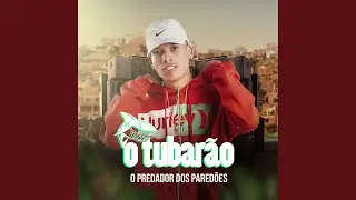 Vai Mulher (feat. MC Zaquin)