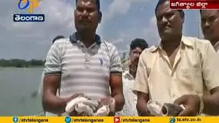 3 Lakh Fish Die Due to Water Pollutants | in Maddula Lake