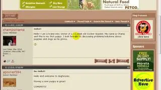 Establishing a Presence - Forum Marketing Secrets Course Video 7