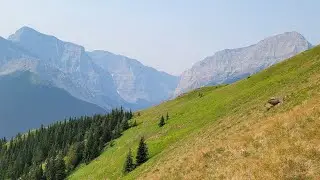 Centennial Ridge Hike - Kananaskis