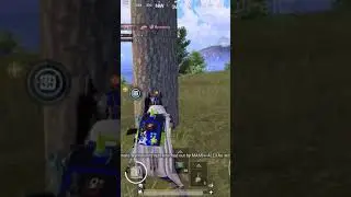 saving wynnsanity while he was streaming