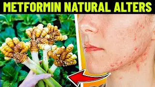 5 Natural Alternatives to Metformin | The HEAL Network