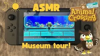 Animal Crossing: New Horizons ASMR | Quiet Night Museum Tour 🌙🐠