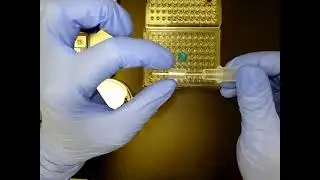 Microscan Panel Inoculation