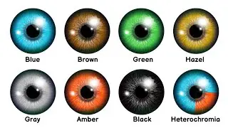 Every Eye Color That Controls How People Perceive You