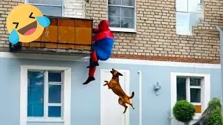 Funny & Hilarious People Life 😆 Instant Regret Fails Compilation 2026 | Best Fails Of The Week #50