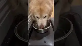 The Sounds of a Heat Wave