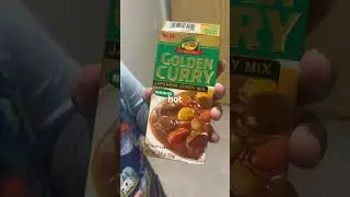 chicken & beef curry rice cooker dump meal! #quickrecipe #cooking with #autism #specialneeds #ausome