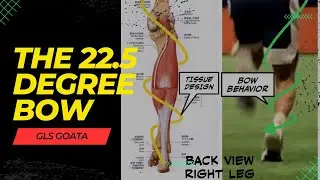 The 22.5 Degree GOATA Bow Explained