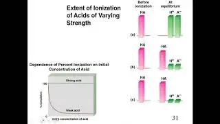 Strong Acid and Strong Base +pH (1. 3)