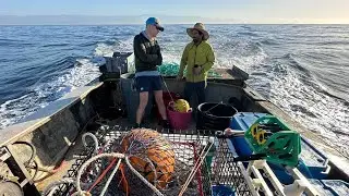 Trialling How Ropeless Fishing Gear Performs in California Box Crab Fishery
