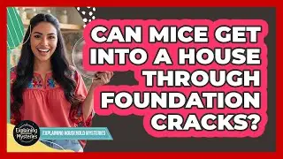 Can Mice Get Into A House Through Foundation Cracks?