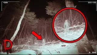 50+ SCARIEST Hiking Encounters Ever Caught on Camera