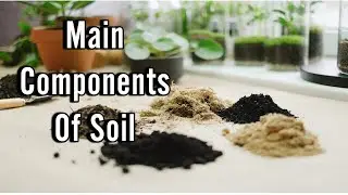 Soil Composition And Properties | Main Components Of Soil