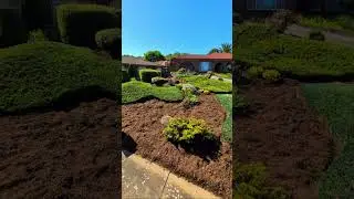 Mulch Magic! ✨ Transform Your Garden with a Clean-Up & Fresh Mulch #yardcare #mulch #mastergardener