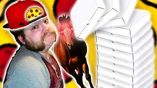 SAUCY CHAUCY | Pizza Pony