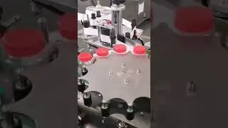 Rotary high speed labeling machine