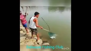 Carp Fishing in Balasore, Odisha