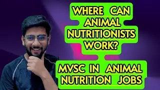 MVSC IN ANIMAL NUTRITION | WHERE CAN ANIMAL NUTRITIONISTS WORK? JOBS VACANCY VETERINARY