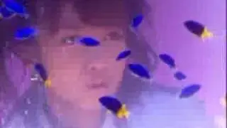 W-Sabishii Nettaigyo
